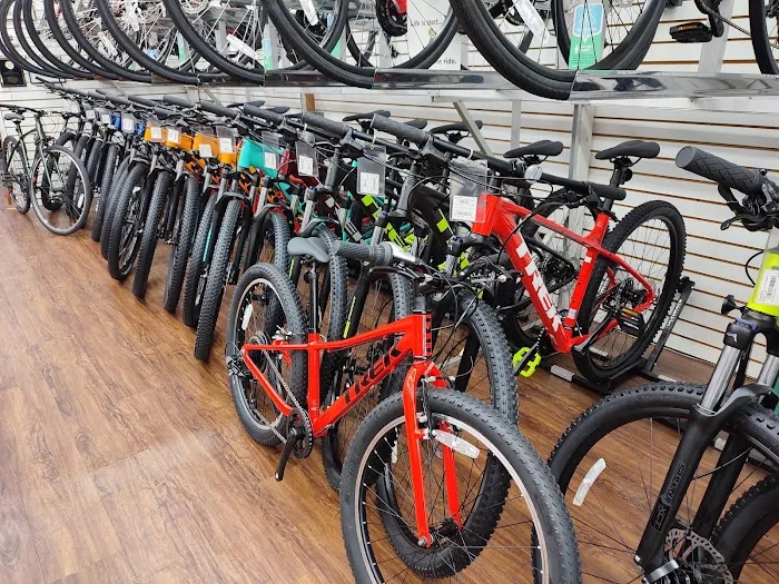 Campus Bicycles Picture 5