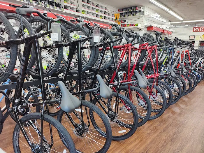 Campus Bicycles Picture 8