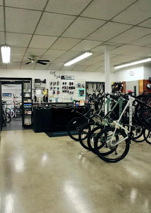 Chapman's Bicycles of Orange Picture 5