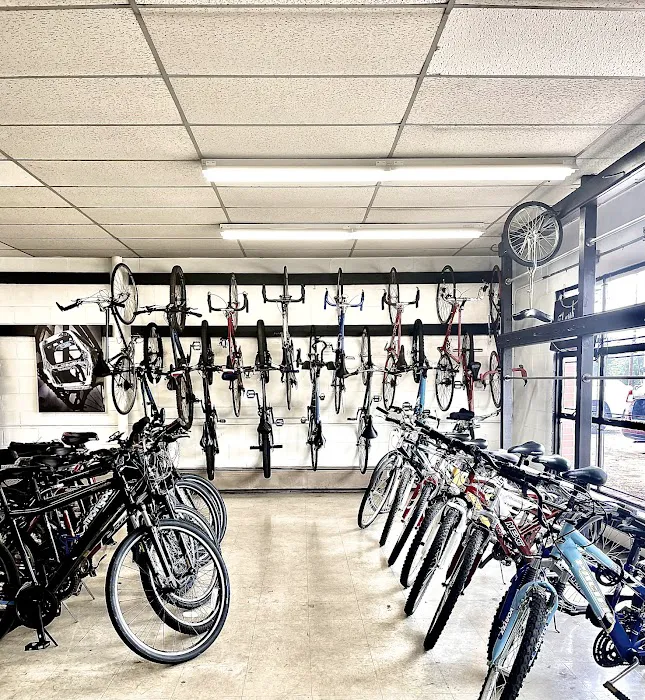 Chapman's Bicycles of Orange Picture 4