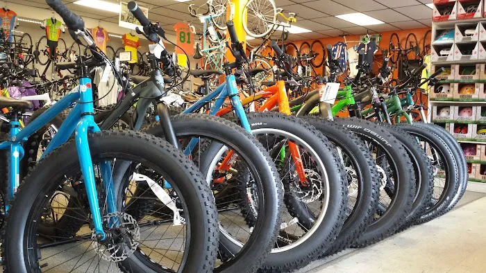 D'Aniello's Amity Bicycles Picture 2