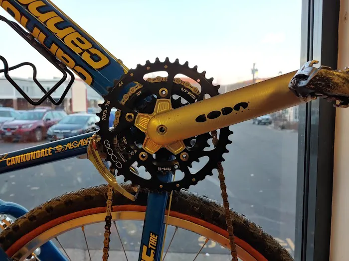 D'Aniello's Amity Bicycles Picture 5