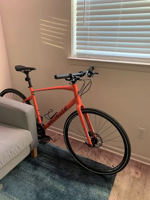 D'Aniello's Amity Bicycles Picture 8
