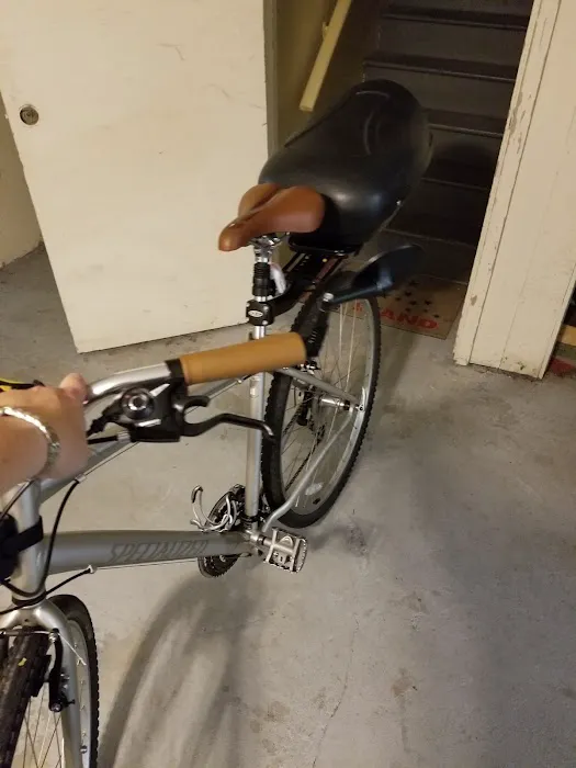 D'Aniello's Amity Bicycles Picture 7