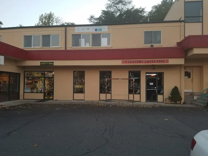 D'Aniello's Amity Bicycles Picture 9