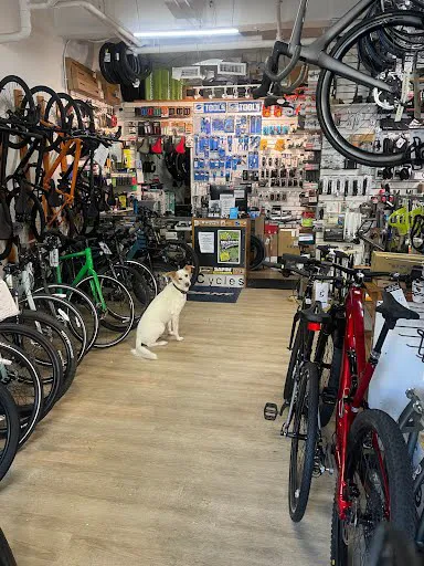 College Street Cycles LLC Picture 4