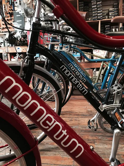 College Street Cycles LLC Picture 9