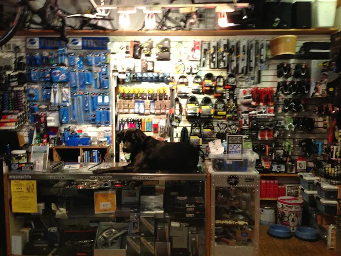 College Street Cycles LLC Picture 10