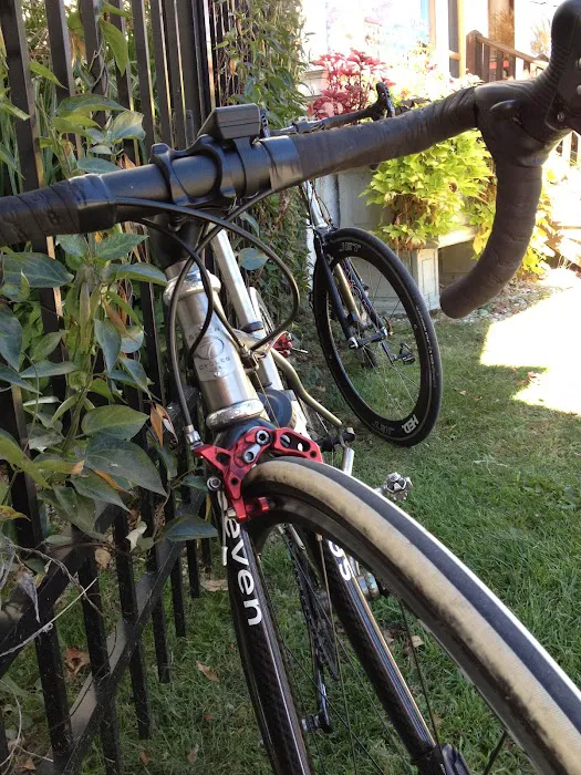 True Cyclery Picture 5