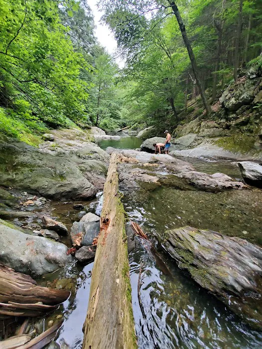 Bash Bish Bicycle & Tour | Service & Supply Picture 10