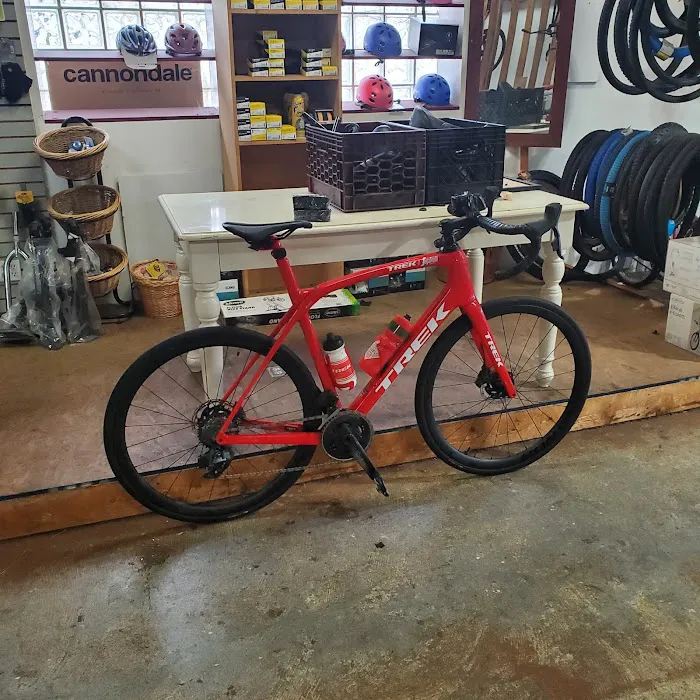Bike Discounters Picture 5