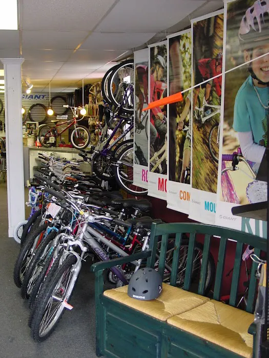 Bike Discounters Picture 2