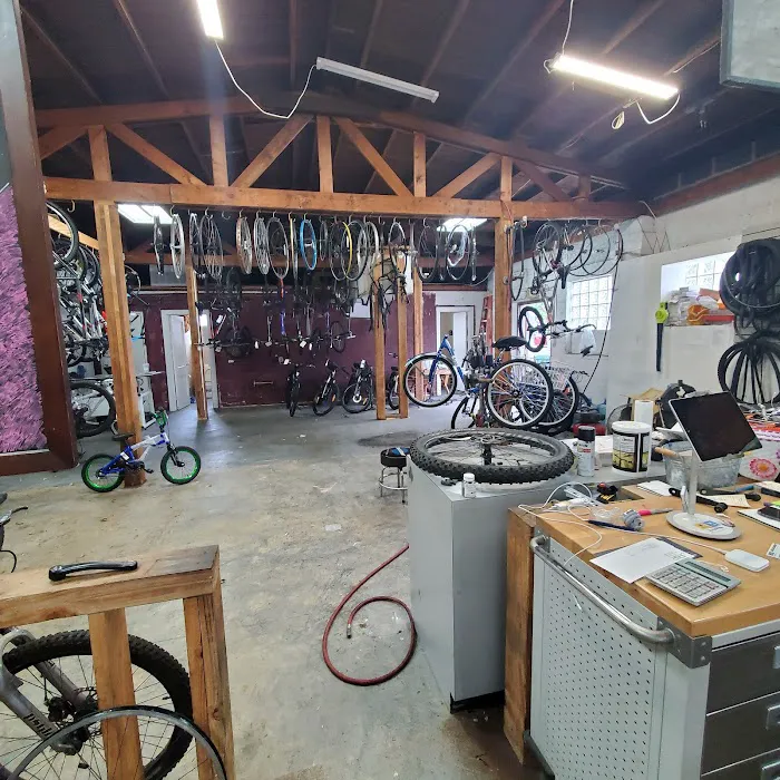 Bike Discounters Picture 6