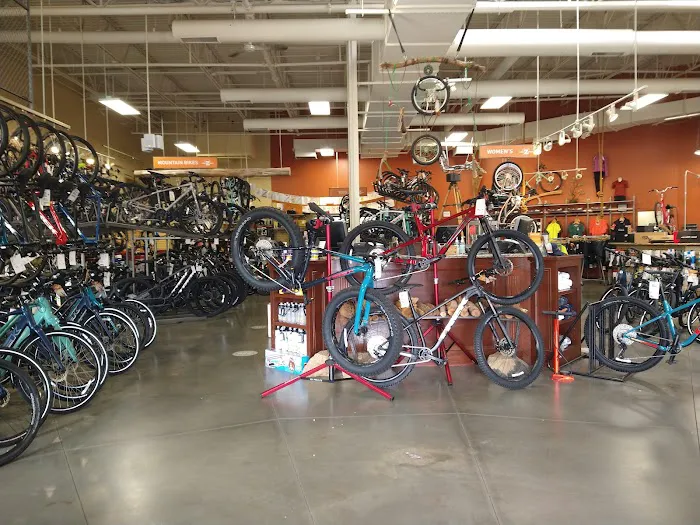 Zane's Cycles Picture 3
