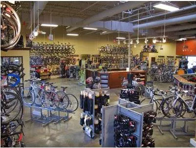 Zane's Cycles Picture 8