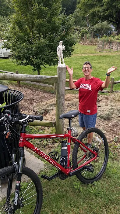 Cheshire Cycle & Repair Picture 5