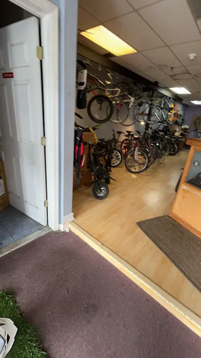 The Port Jeff Bike Dr. Picture 1