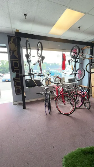 The Port Jeff Bike Dr. Picture 2