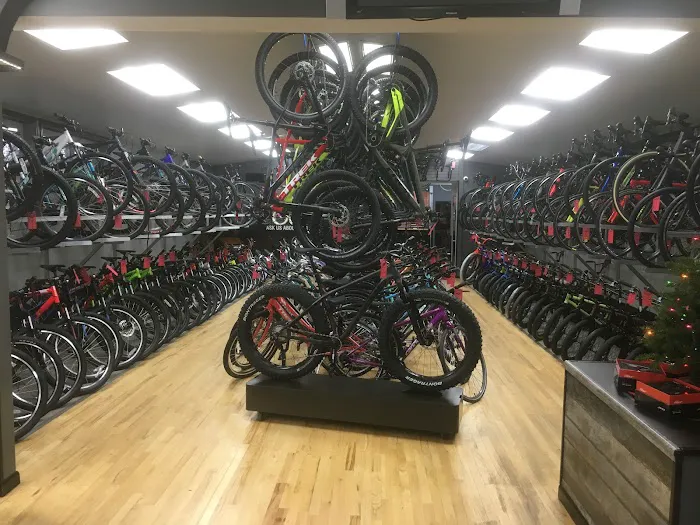 Carl Hart Bicycles | Middle Island Picture 6