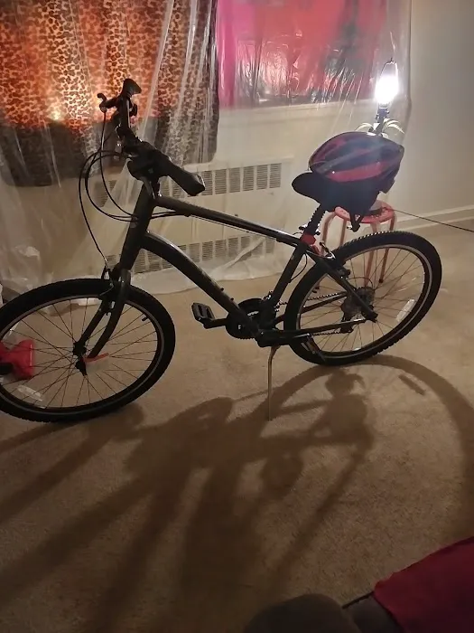 Long Island Bicycles Inc Picture 1