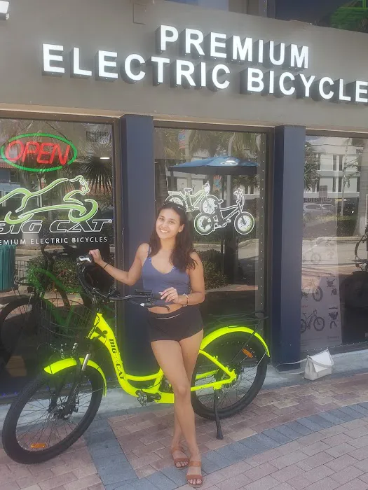 Big Cat Electric Bikes Picture 3