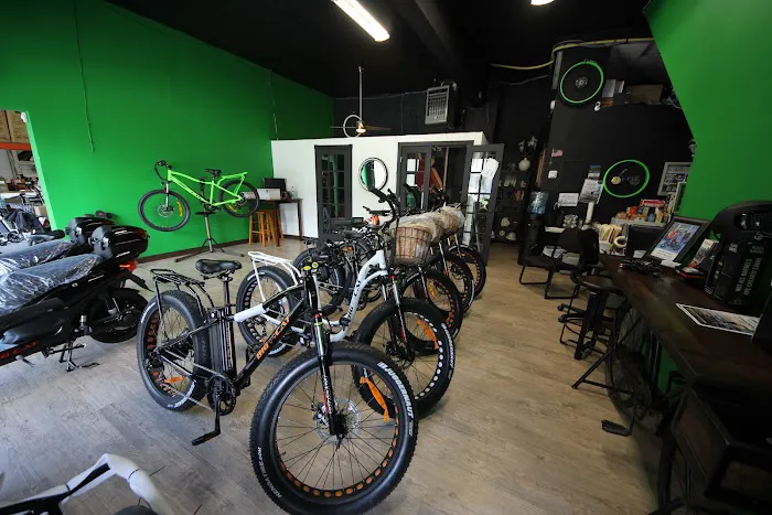 Big Cat Electric Bikes Picture 1