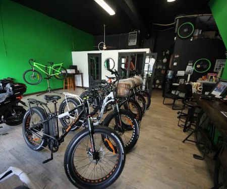 Big Cat Electric Bikes