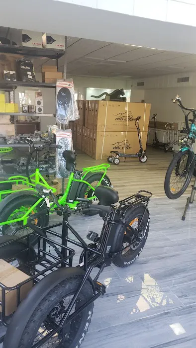 Big Cat Electric Bikes Picture 4