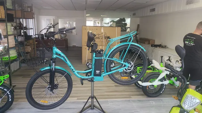 Big Cat Electric Bikes Picture 7
