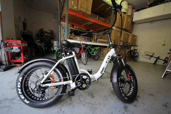 Big Cat Electric Bikes Picture 6