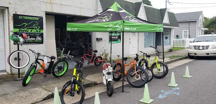 Big Cat Electric Bikes Picture 8