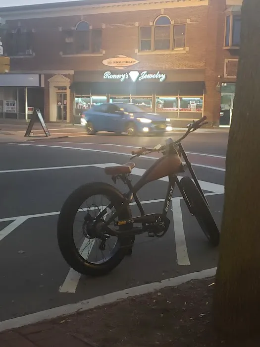 Big Cat Electric Bikes Picture 10