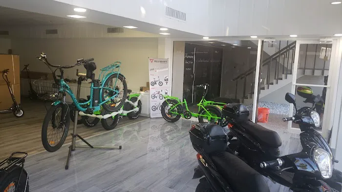 Big Cat Electric Bikes Picture 9