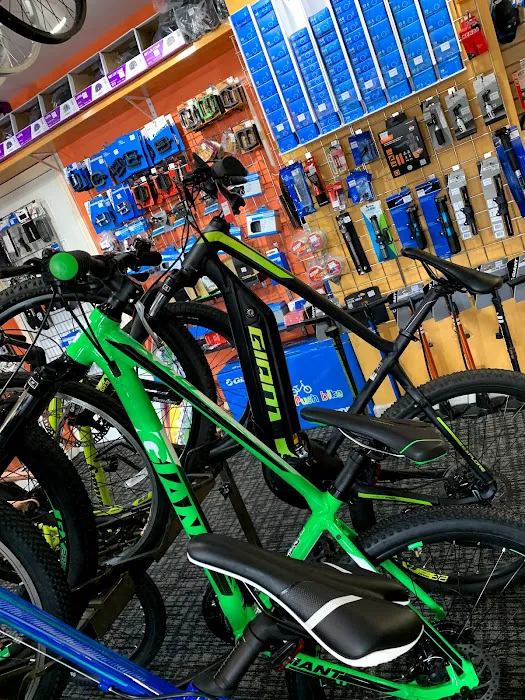Bobby Sprocket Bike Shop Picture 9