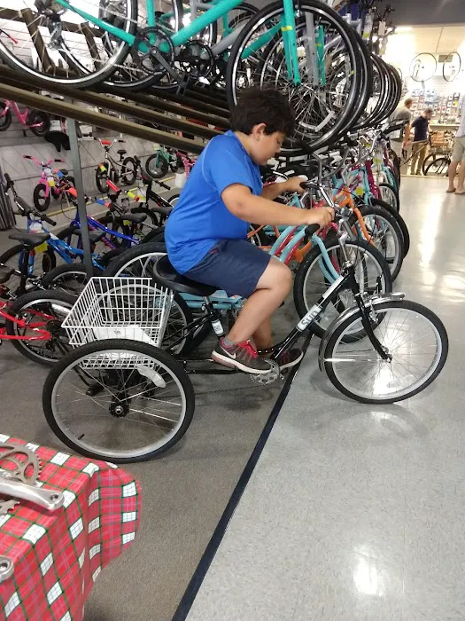 Olde Towne Bicycles, Inc. - Fredericksburg Picture 4