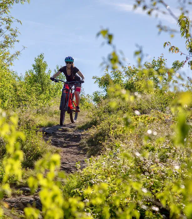 Berkshire Bike and Board Great Barrington Picture 5