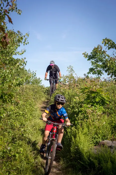 Berkshire Bike and Board Great Barrington Picture 8