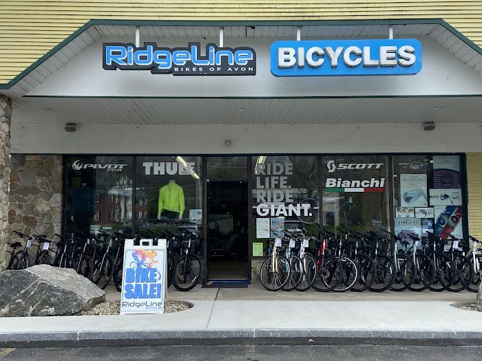 RidgeLine Bicycles Picture 3