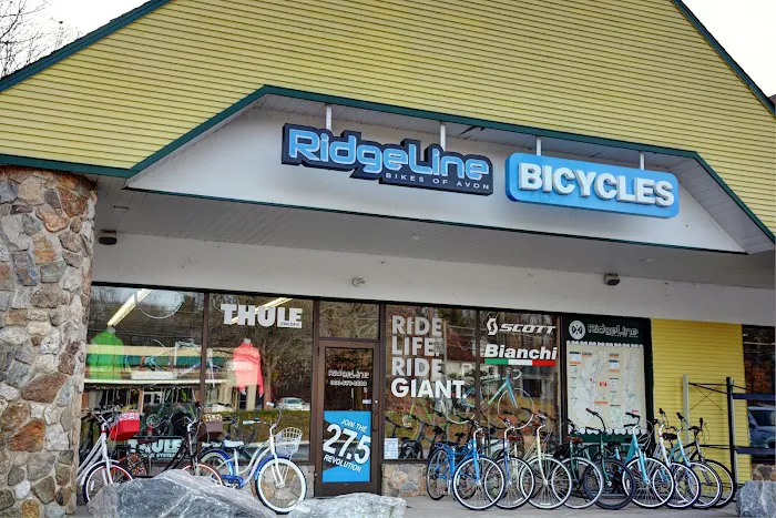RidgeLine Bicycles Picture 4