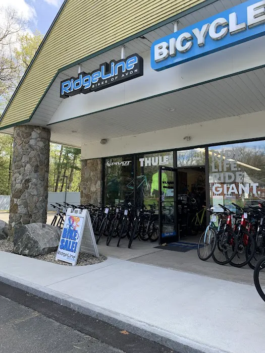 RidgeLine Bicycles Picture 7