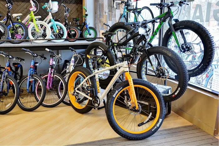 RidgeLine Bicycles Picture 9