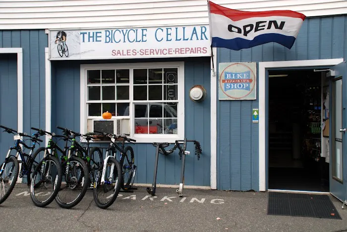 The Bicycle Cellar Picture 2