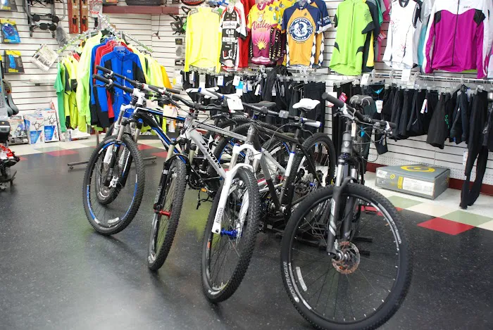 The Bicycle Cellar Picture 1