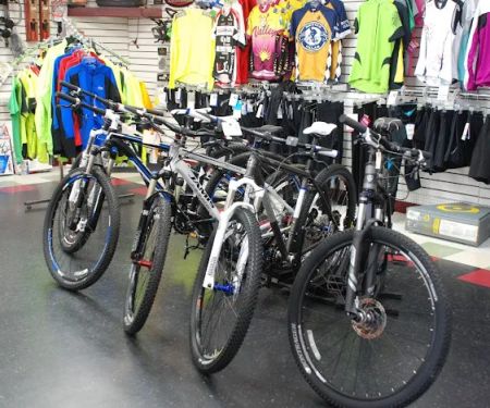 The Bicycle Cellar