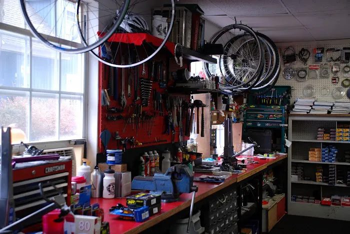 The Bicycle Cellar Picture 5