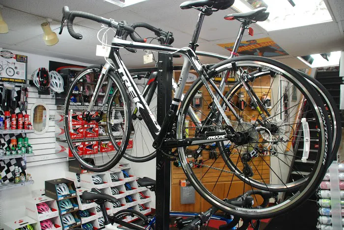 The Bicycle Cellar Picture 4