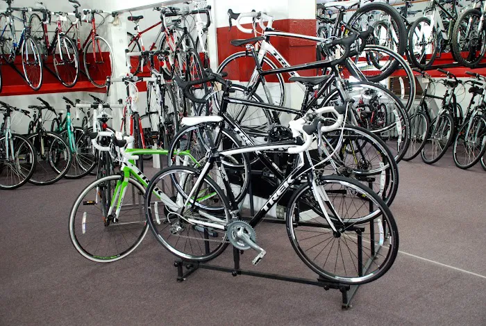 The Bicycle Cellar Picture 6