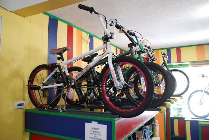 The Bicycle Cellar Picture 7