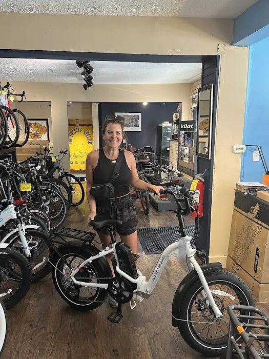 The Bicycle Cellar Picture 10