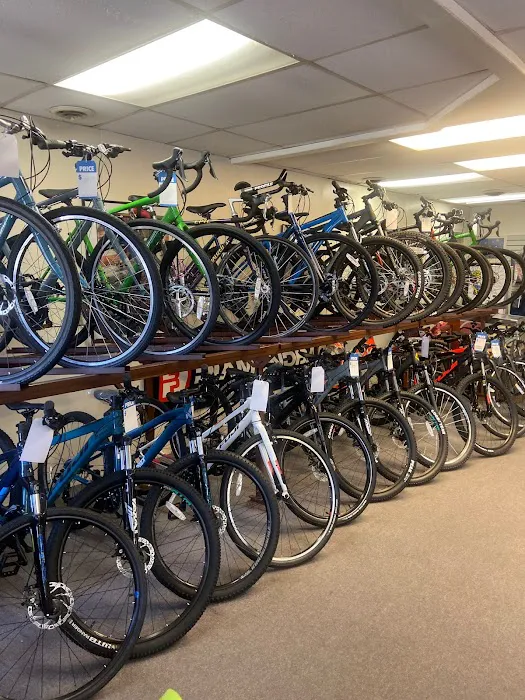 Renaissance Cyclery Picture 3